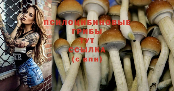 2c-b Абаза