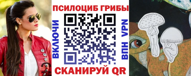 купить наркотик Новомичуринск Галлюциногенные грибы Cubensis